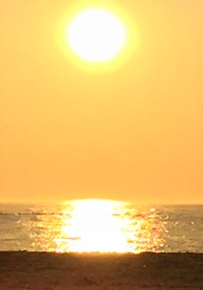 Sun Daily 2