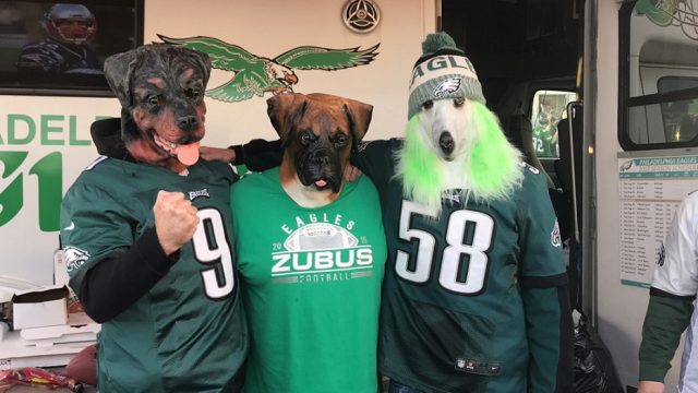 Eagles Dogs.4