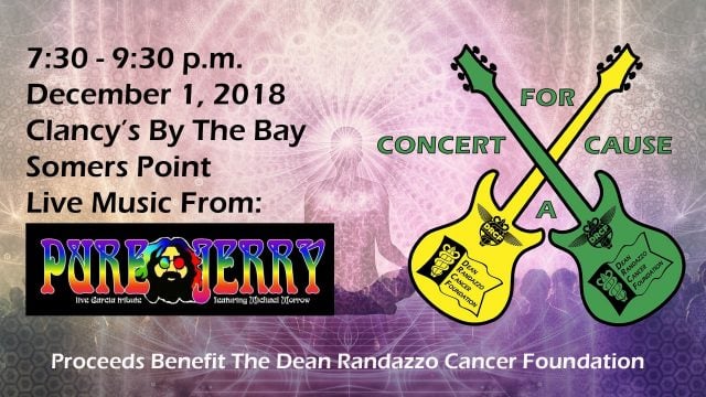 1.4 Concert for a cause Pure Jerry