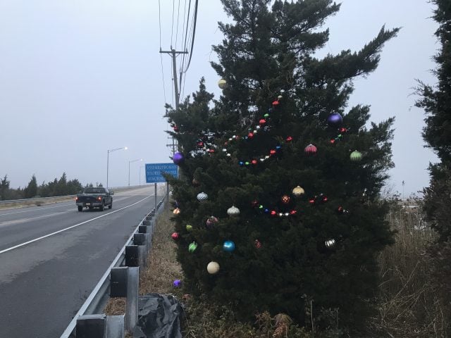 1.4 mystery christmas tree lead image