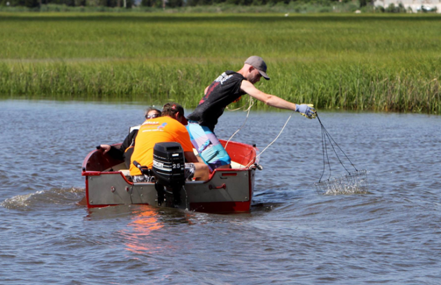 1.4 assault crabbing