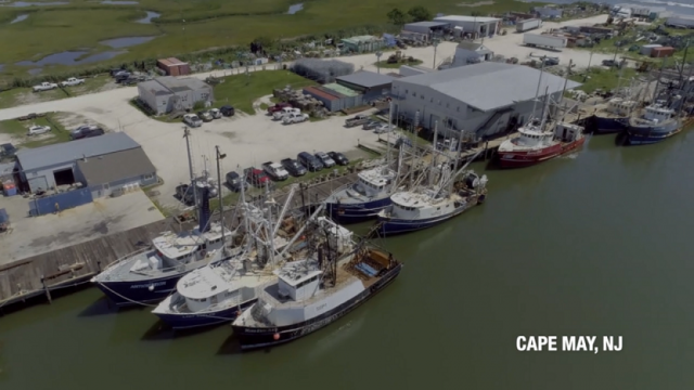 Cape May Fishery Shot.4