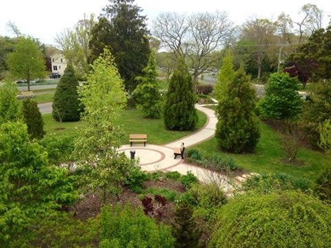 1.4 Linwood Arboretum