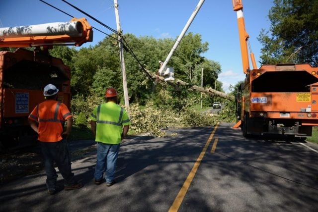 1.4 Atlantic City Electric tree trimming program