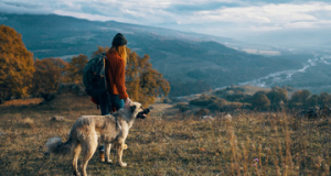 Freshpet Dog Food Reviews