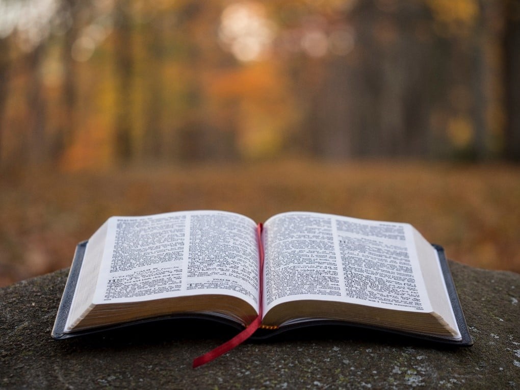 Living Church of God Reviews