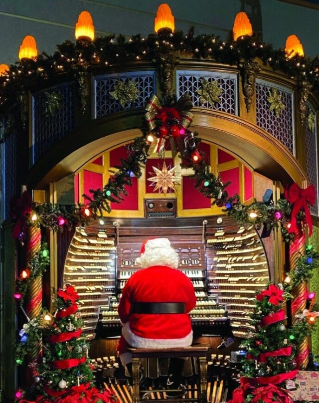 1.4 Organ