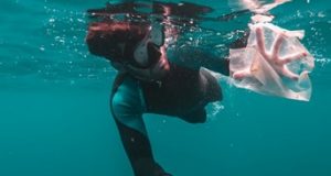 4Ocean Reviews