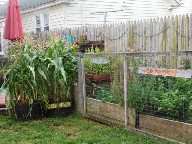 1.4 Garden Club