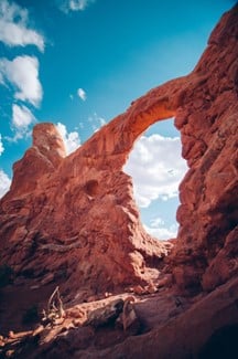 Dr. David Weinstock Arizona