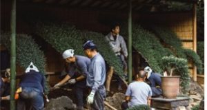 Ferrandino and Son Inc