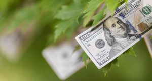 Heritage Reforestation Inc