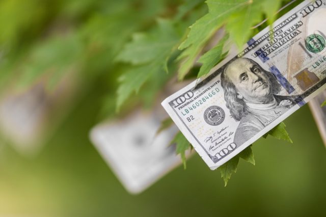 Heritage Reforestation Inc