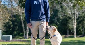 K9s For Warriors