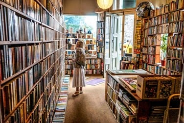 Seri Roth Shares Her 5 Favorite Massachusetts-Based Queer Owned Businesses and Initiatives