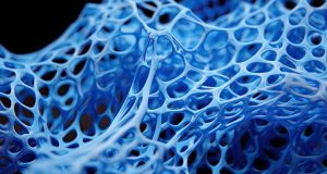 Bahram Alavi on Scaffolding in Tissue Engineering