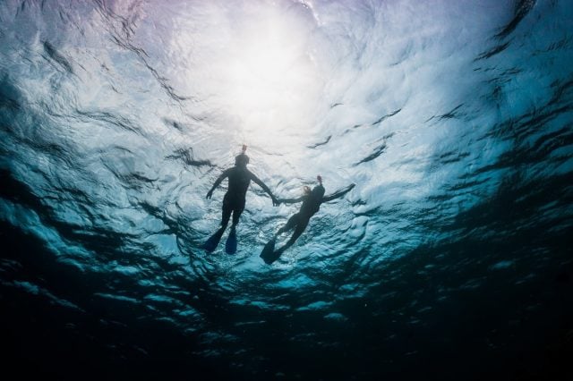Josiah Grauso Highlights the Benefits of Having Your Own Snorkeling Gear Josiah Grauso Highlights the Benefits of Having Your Own Snorkeling Gear