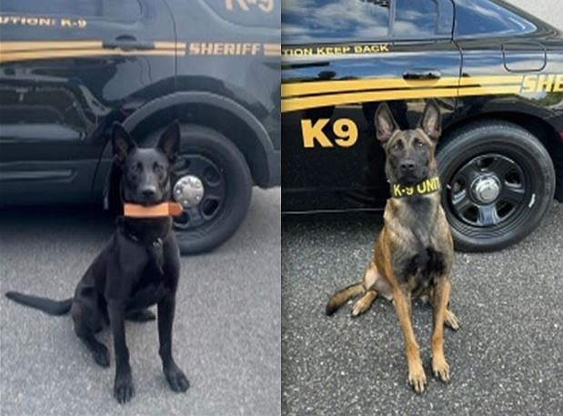 Atlantic County K-9s