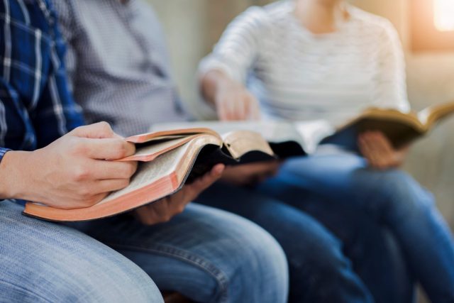 Bo Knasel on the Benefits of Reading for Pleasure Bo Knasel on the Benefits of Reading for Pleasure