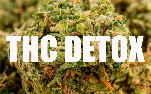 Best THC Detox Drinks Teaser