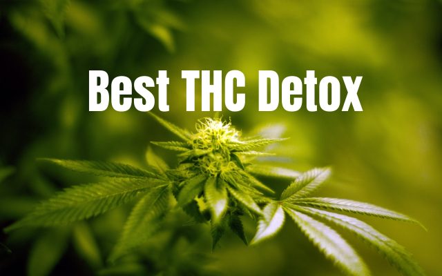 Best THC Detox Teaser