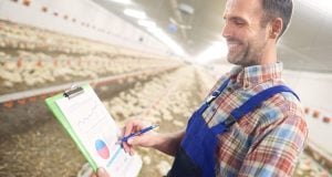 From By-Product to Bio-Innovation