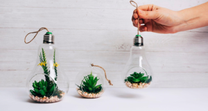 Eco-Conscious