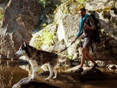 Orlin Damianov on Why Outdoor Adventures Create Stronger Bonds Between Dogs and Their Owners