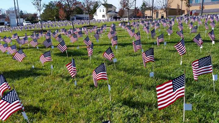 About 1,200 miniature American flags covered the lawn at Shore Medical Center in a colorful salute to veterans.