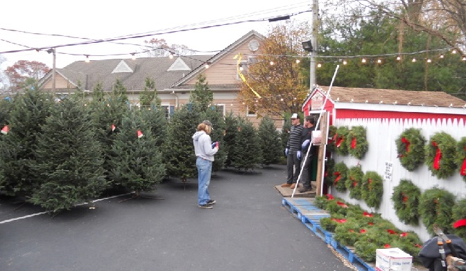 Paul and his crew have a broad selection of trees and wreaths at Somers Pt. True Value Hardware on Route 9.