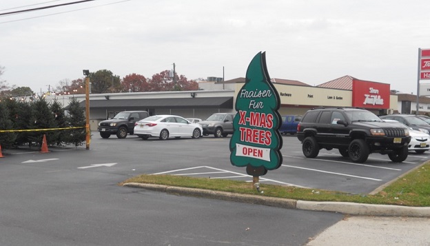 Business was brisk Saturday in the tree department of Somers Point True Value Hardware