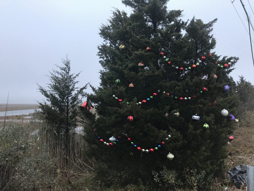 Mystery Christmas Tree is Back Once Again | Somers Point