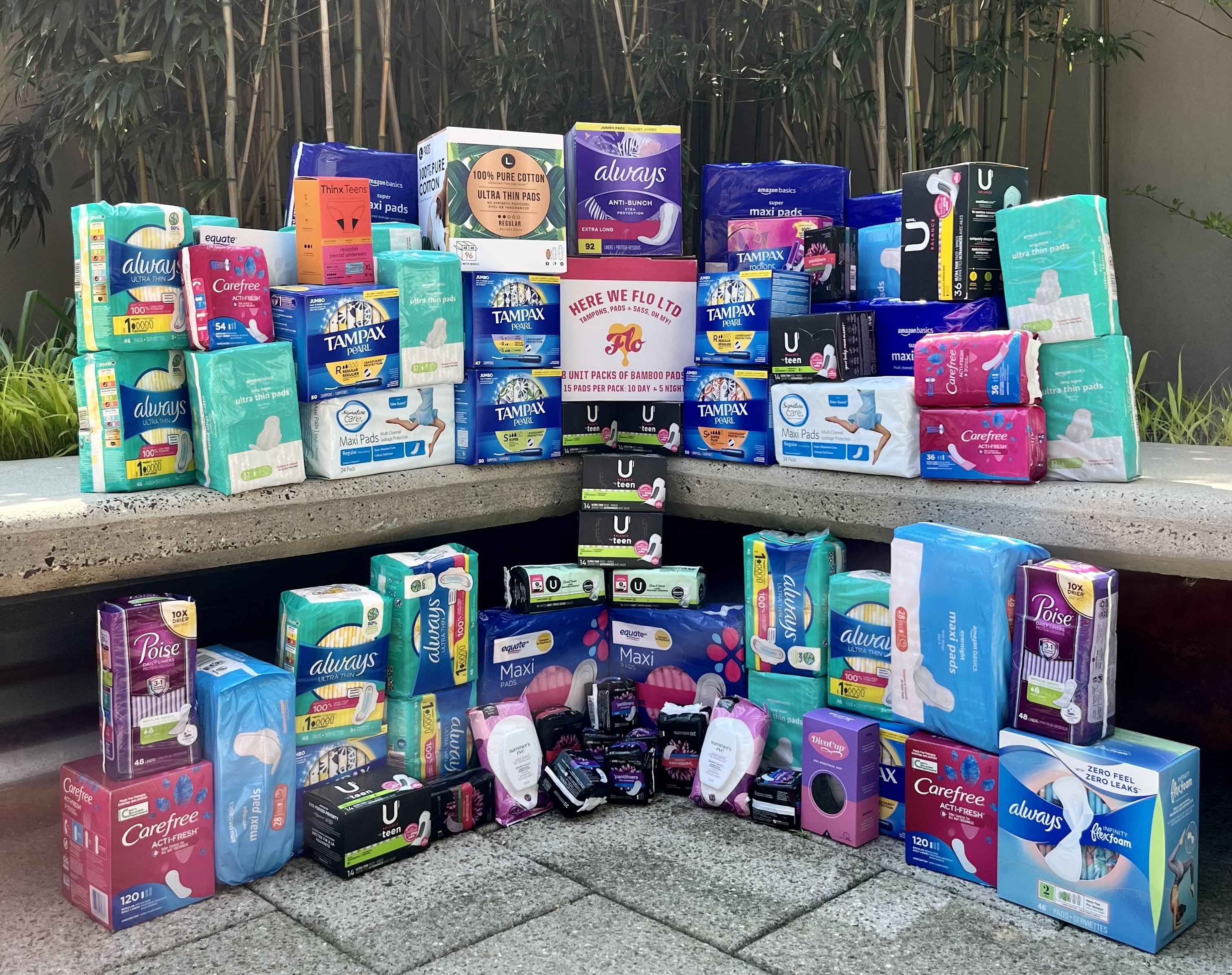 FoodBank Collects Feminine Hygiene Products