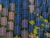 CleanChoice Energy Embarks on a Solar Farm Initiative to Revolutionize Renewable Energy Access