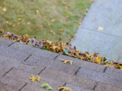 Falling Leaves