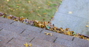 Falling Leaves