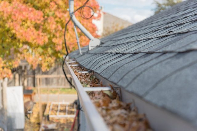 Why Gutter Cleaning Is Your First Line of Defense Against Water Damage
